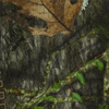 NWTF Mossy Oak Obsession